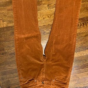 Patagonia corduroy pants 29 SHORT never worn